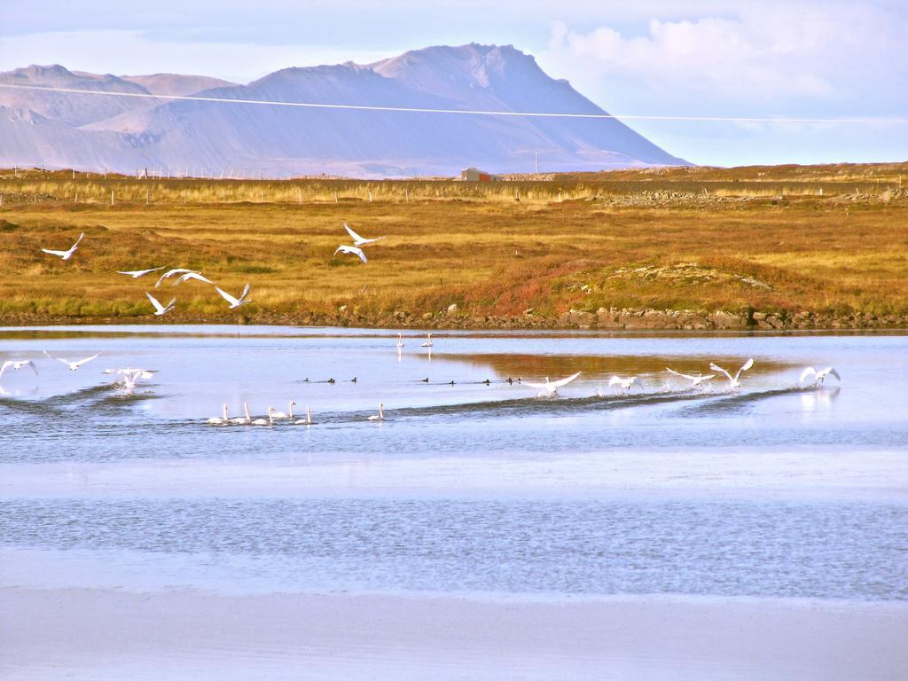Helgafell Hotel Stykkisholmur Bagian luar foto