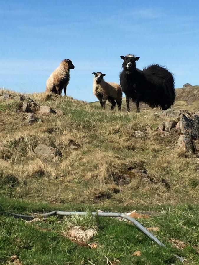 Helgafell Hotel Stykkisholmur Bagian luar foto